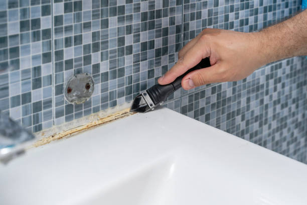 Best Emergency Mold Removal  in Jena, LA