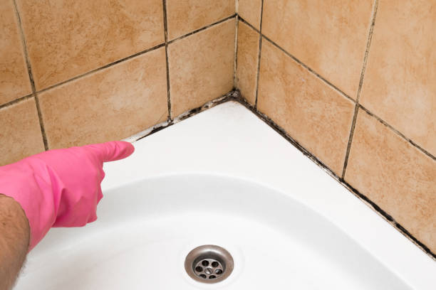 Best Certified Mold Removal  in Jena, LA